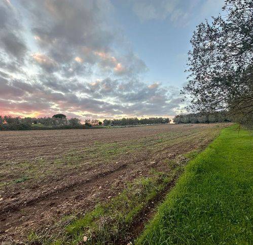 Terreno a Muro leccese in Muro Leccese - Foto 2