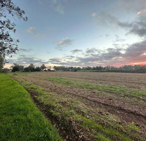 Terreno a Muro leccese in Muro Leccese - Foto 3