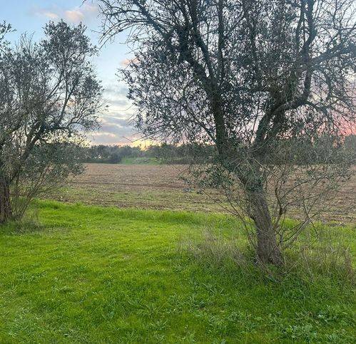 Terreno a Muro leccese in Muro Leccese - Foto 4