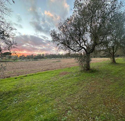 Terreno a Muro leccese in Muro Leccese - Foto 5