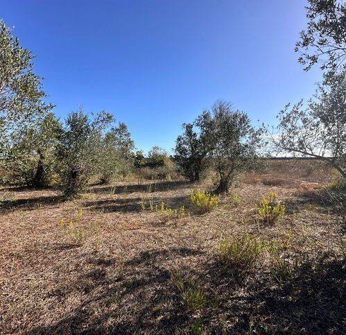 Terreno a Sanarica in Via Menhir Croce - Foto 3