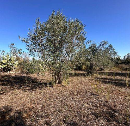 Terreno a Sanarica in Via Menhir Croce - Foto 4