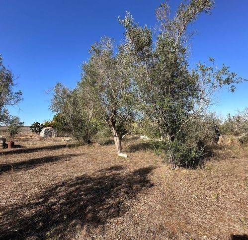Terreno a Sanarica in Via Menhir Croce - Foto 5