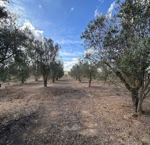 Terreno a Sanarica in Strada Vecchia - Foto 5