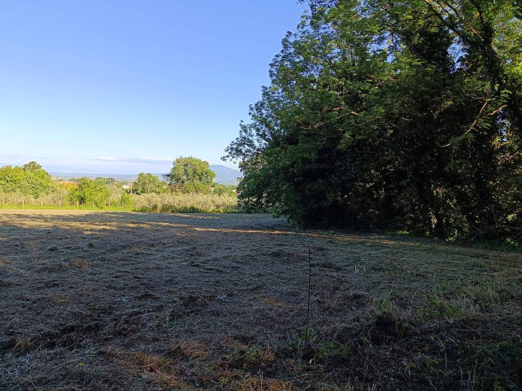 Terreno a Montefiascone in Via Fiordini - Foto 4