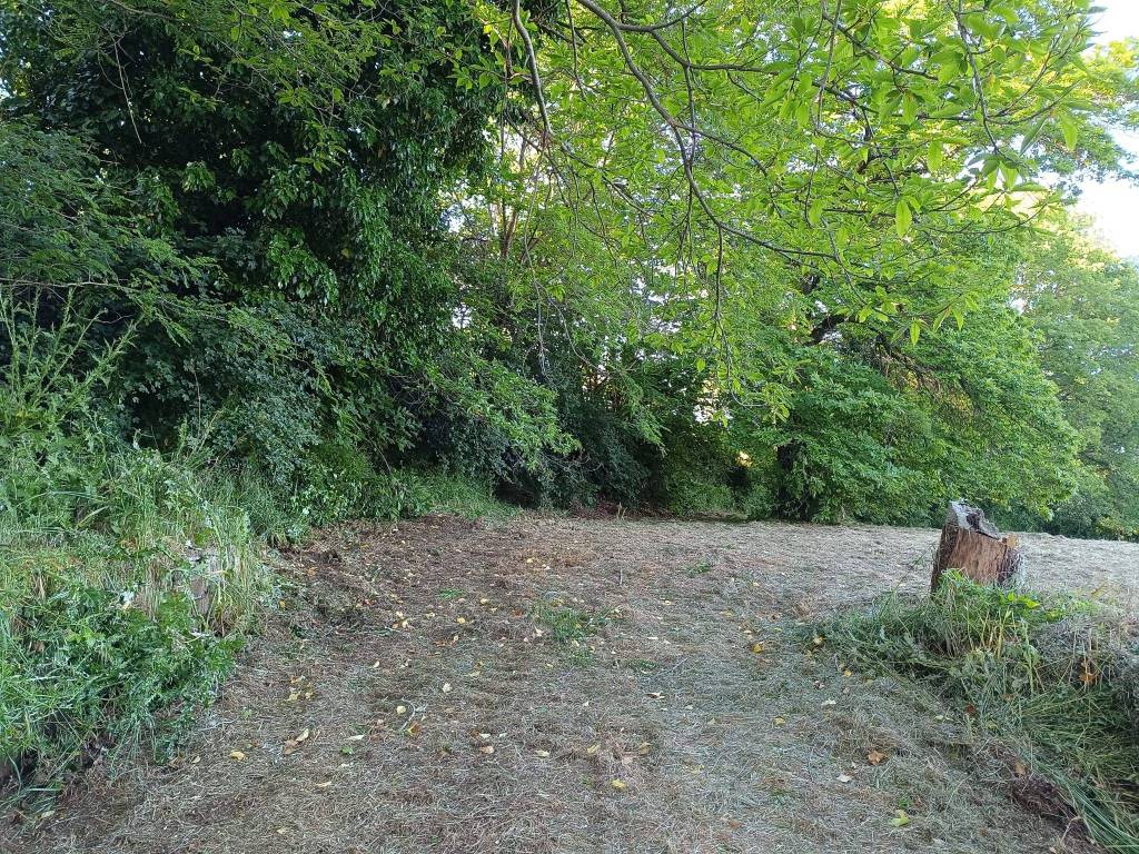 Terreno a Montefiascone in Via Fiordini - Foto 5