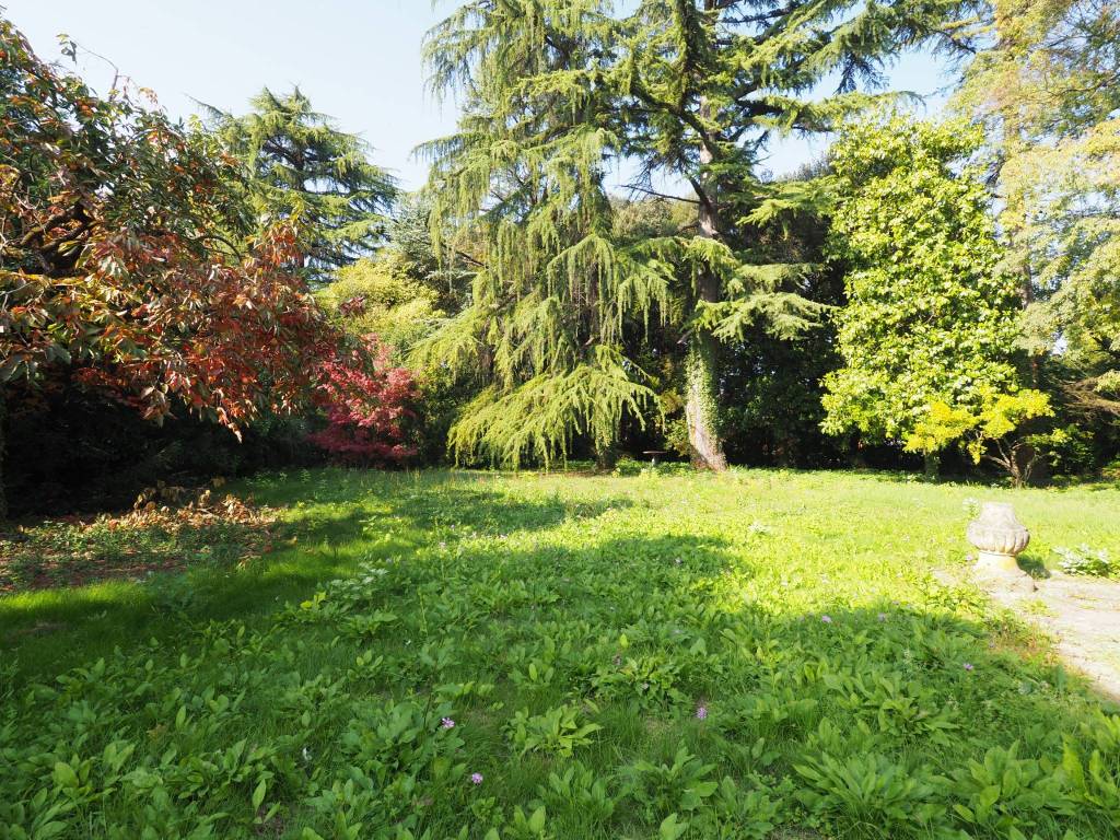 Villa a Casale sul sile in Via Nuova Trevigiana Lughignano, 64 - Foto 3