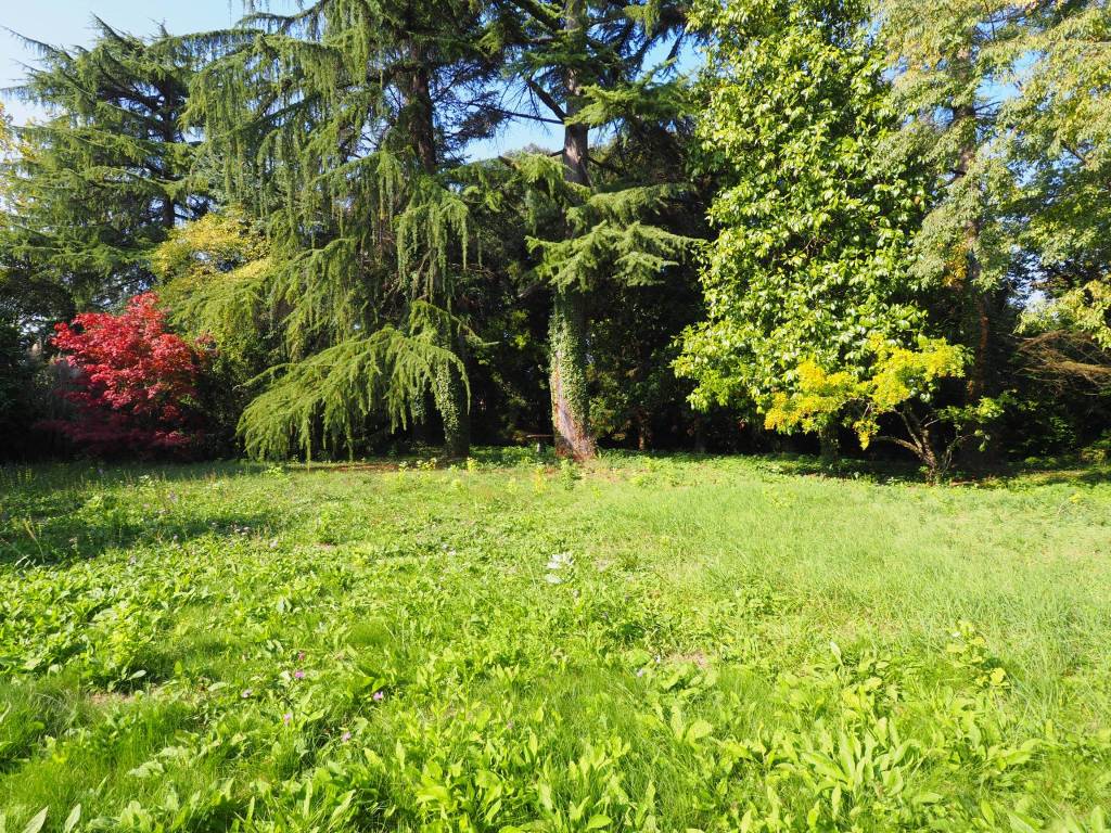 Villa a Casale sul sile in Via Nuova Trevigiana Lughignano, 64 - Foto 5