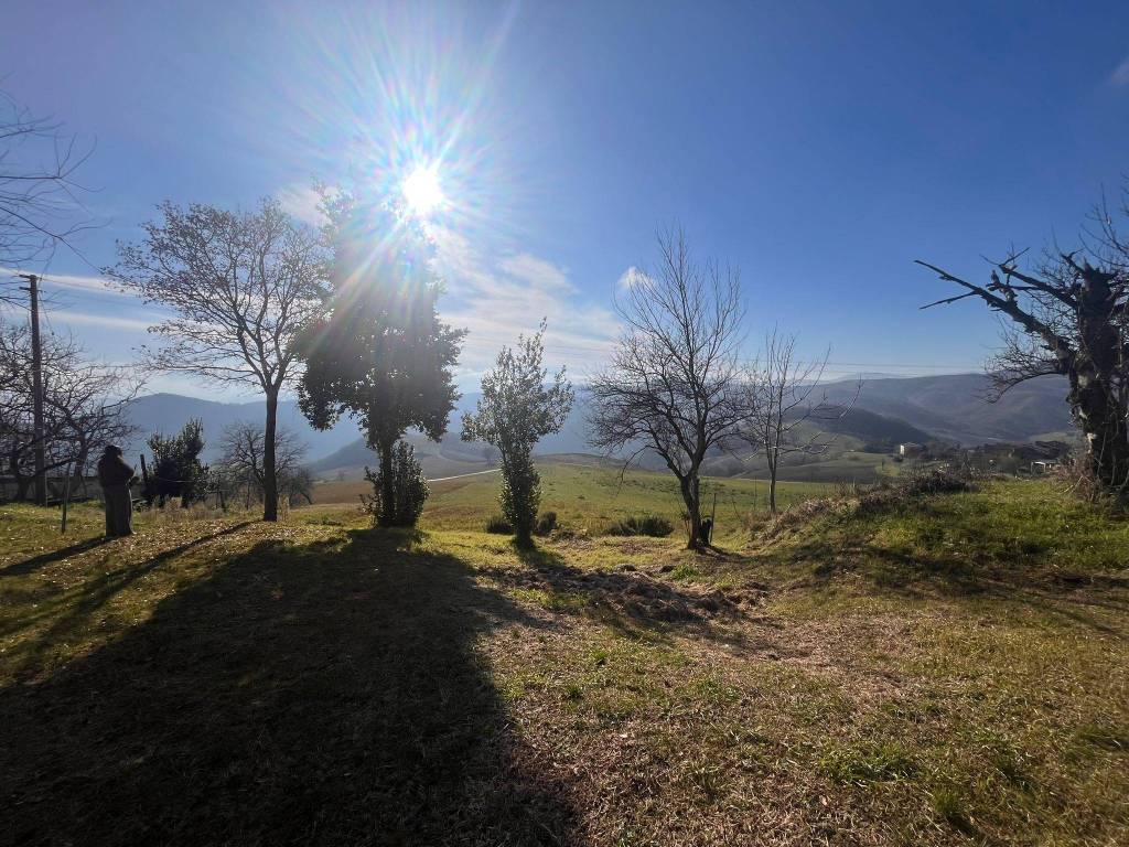 Rustico / casale a Medesano in Strada Provinciale delle Terme - Foto 4