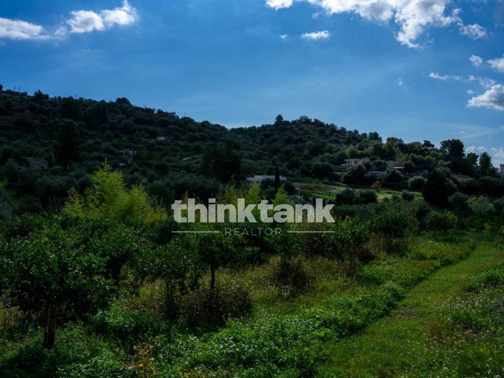 Rustico / casale a Avola in Via della ginestra - Foto 2