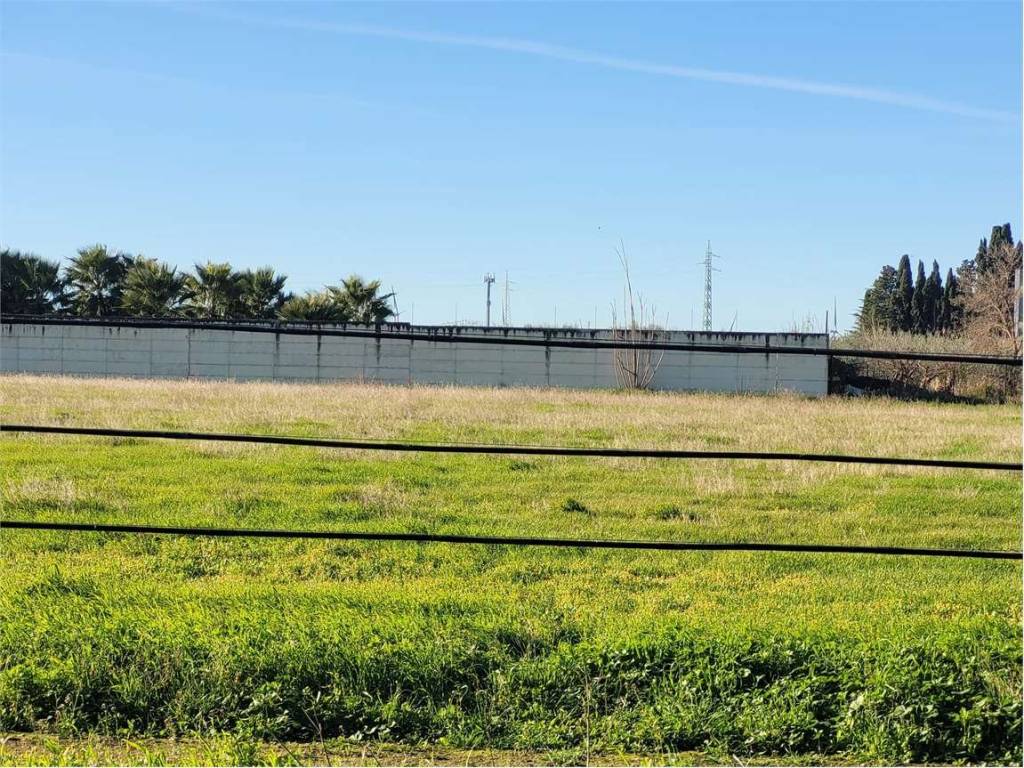Terreno a Cerignola in VIA TEANO - Foto 3