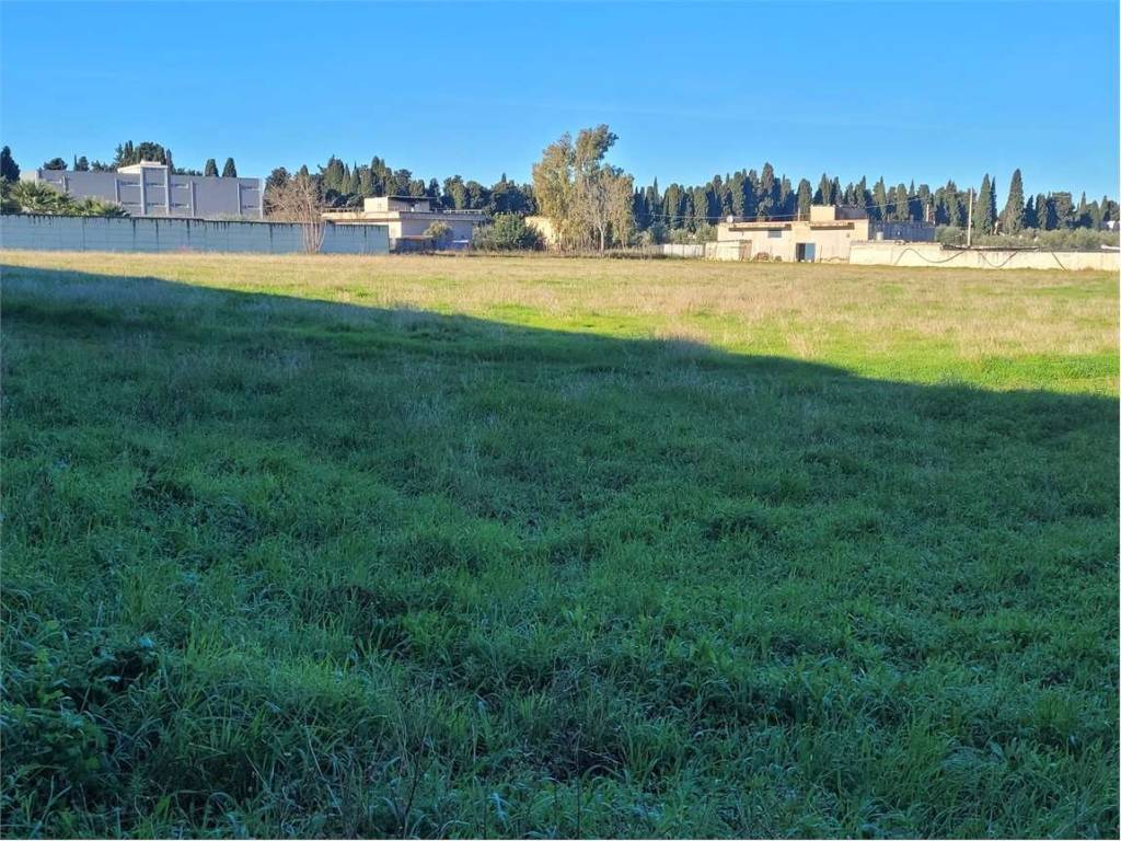 Terreno a Cerignola in VIA TEANO - Foto 5