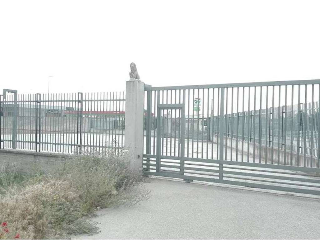 Immobile a Cerignola in S.S. 16 - Foto 2