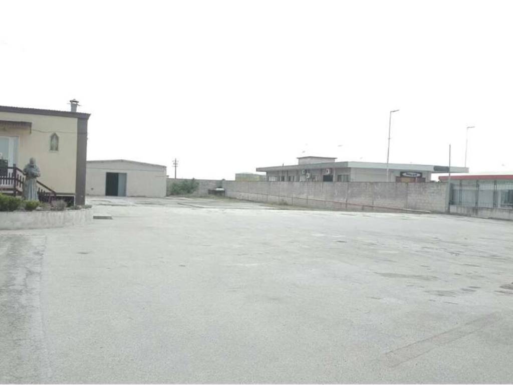 Immobile a Cerignola in S.S. 16 - Foto 5