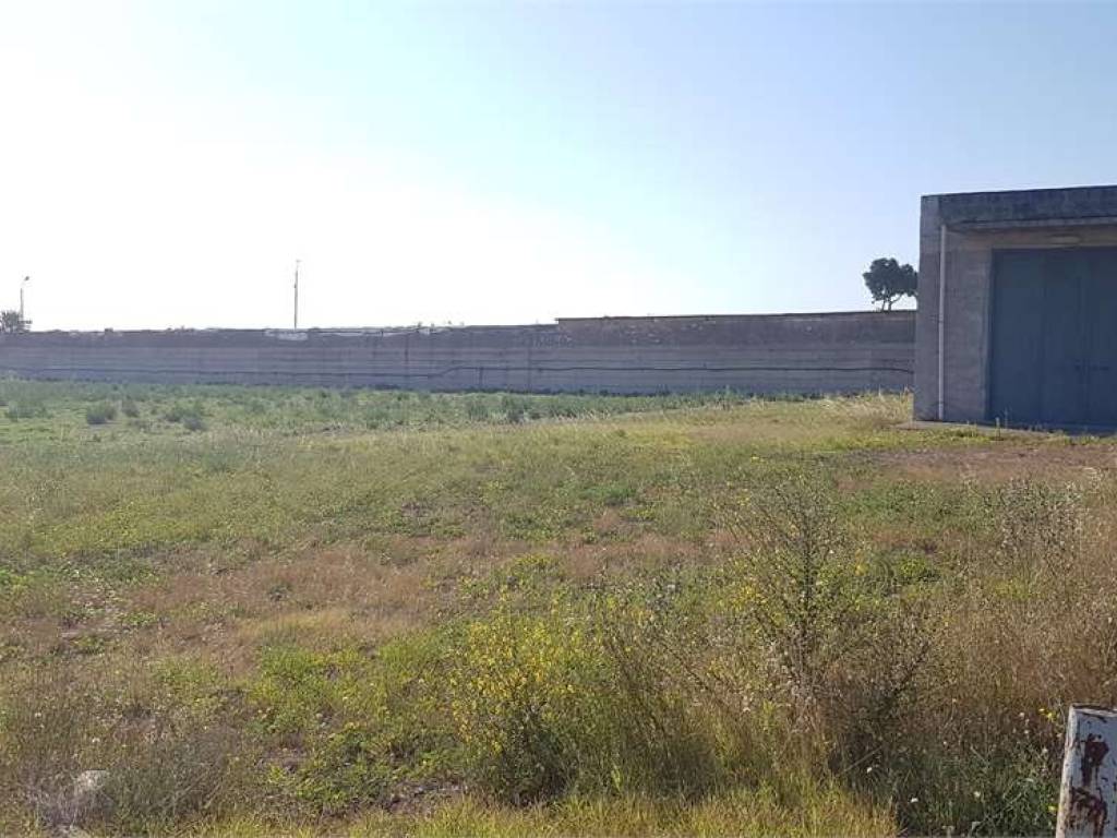 Immobile a Cerignola in STRADA PESCARIELLO - Foto 4