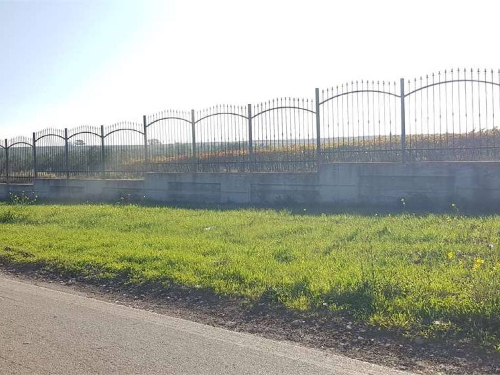 Terreno a Cerignola in S.P. 96 - Foto 2