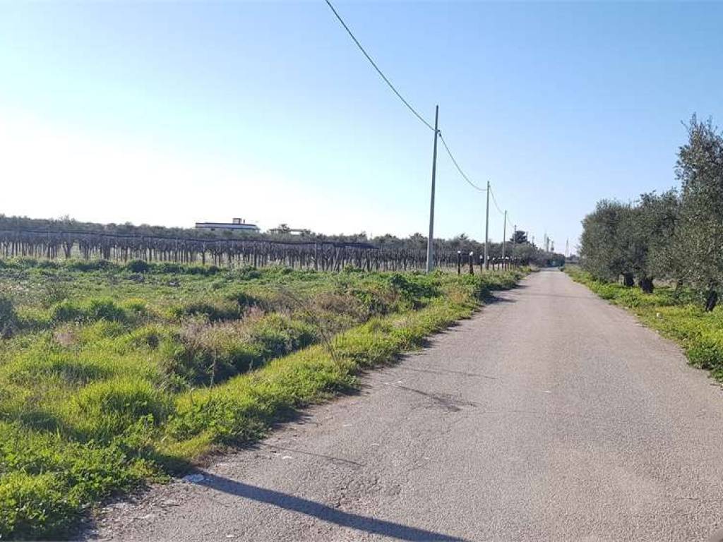 Terreno a Cerignola in strada comunale fornaci, km 1 - Foto 4