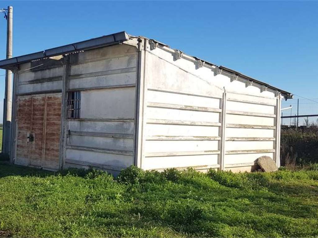 Terreno a Cerignola in STRADA COMUNALE CERINA POSTA PILA - Foto 3