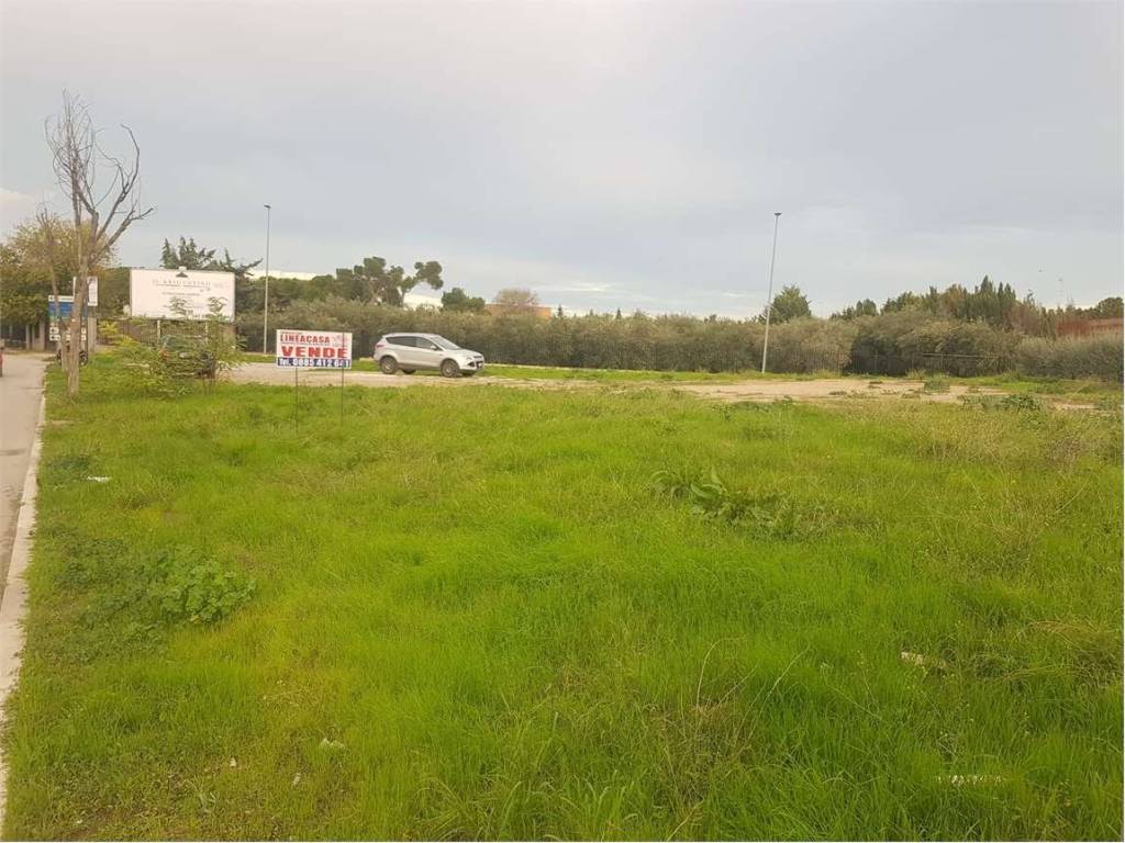Terreno a Cerignola - Foto 3