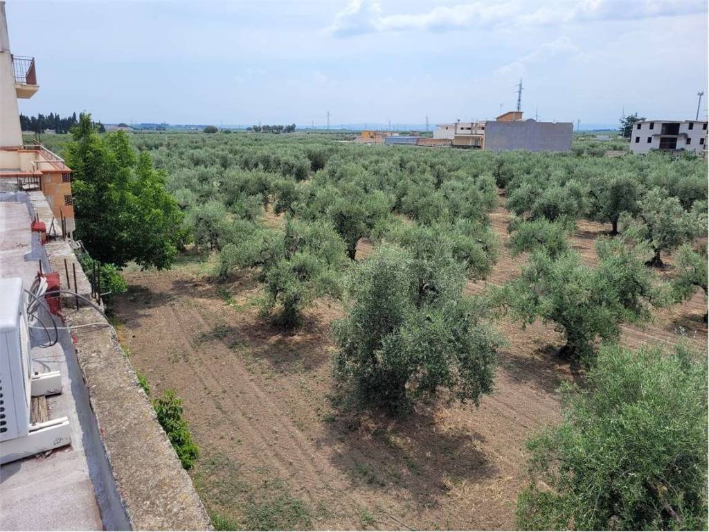 Terreno a Cerignola in VIA SANTUARIO MADONNA DI RIPALTA - Foto 2