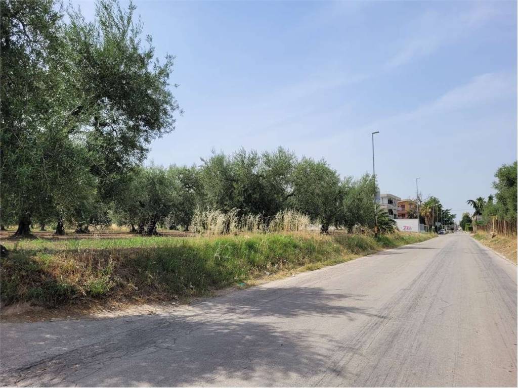Terreno a Cerignola in VIA SANTUARIO MADONNA DI RIPALTA - Foto 4