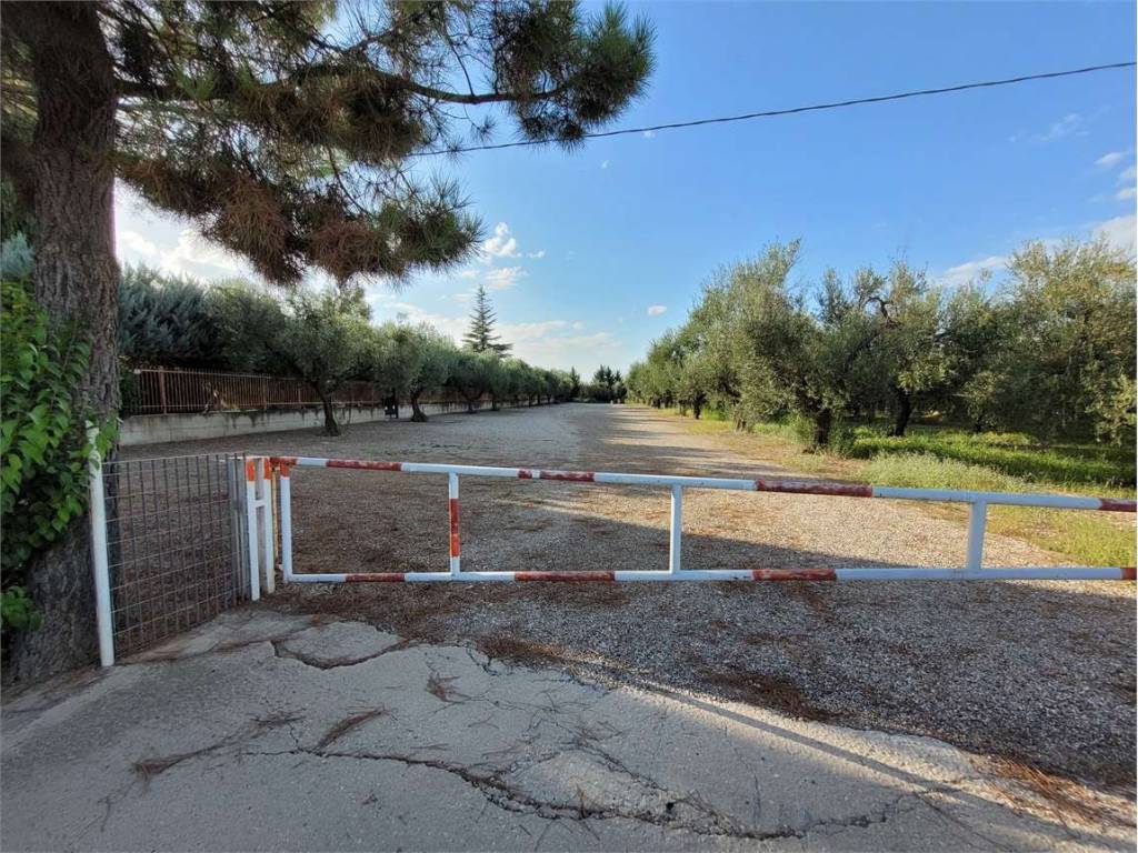 Villa a Cerignola in S.P. 62 - Foto 3