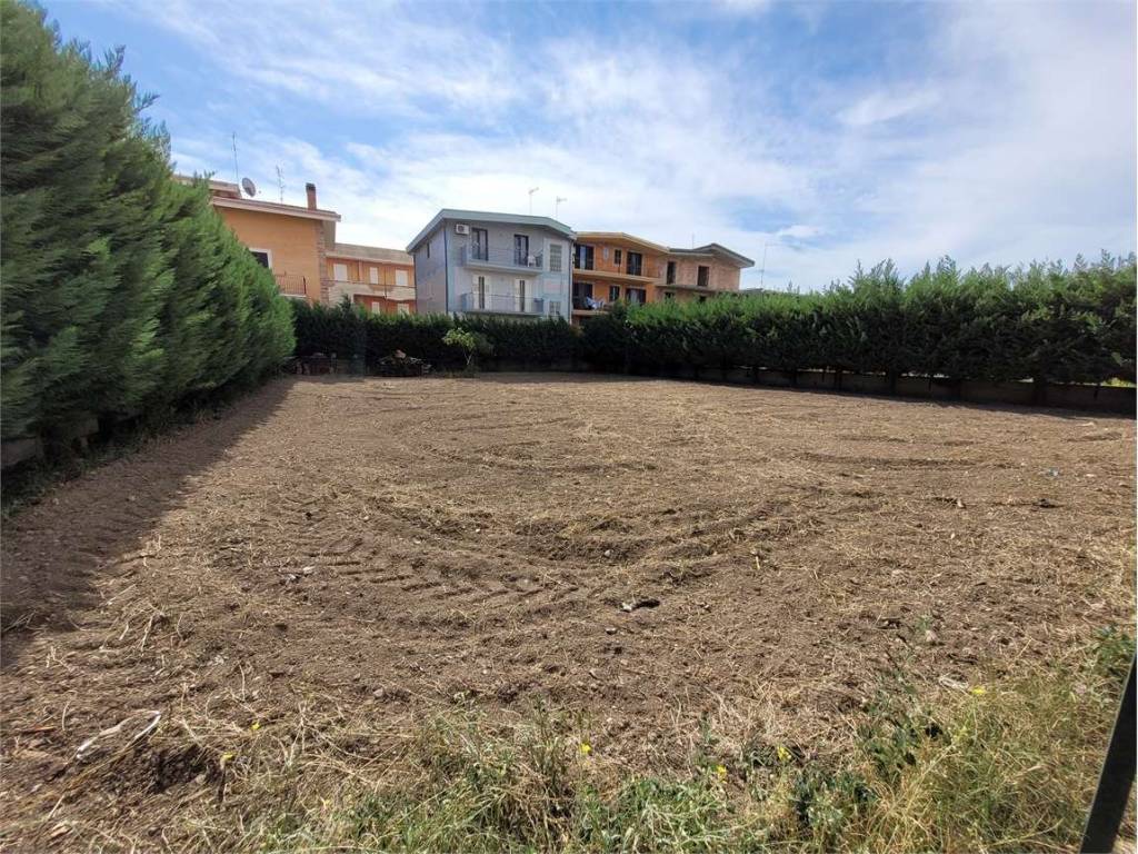 Terreno a Cerignola - Foto 2