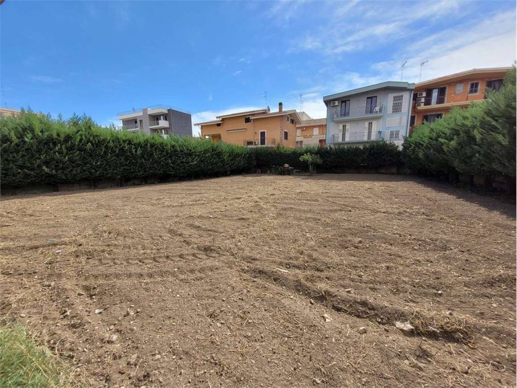 Terreno a Cerignola - Foto 5