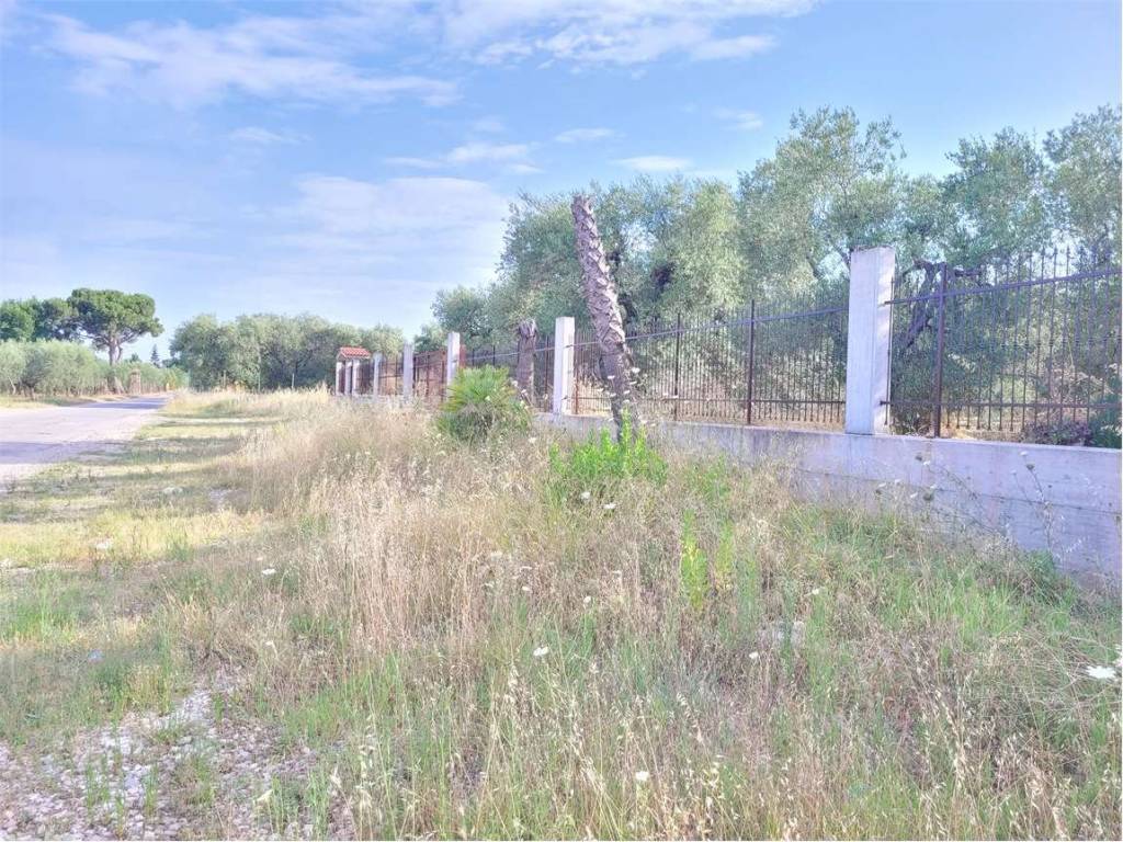 Terreno a Cerignola in VIA SANTUARIO MADONNA DI RIPALTA - Foto 2