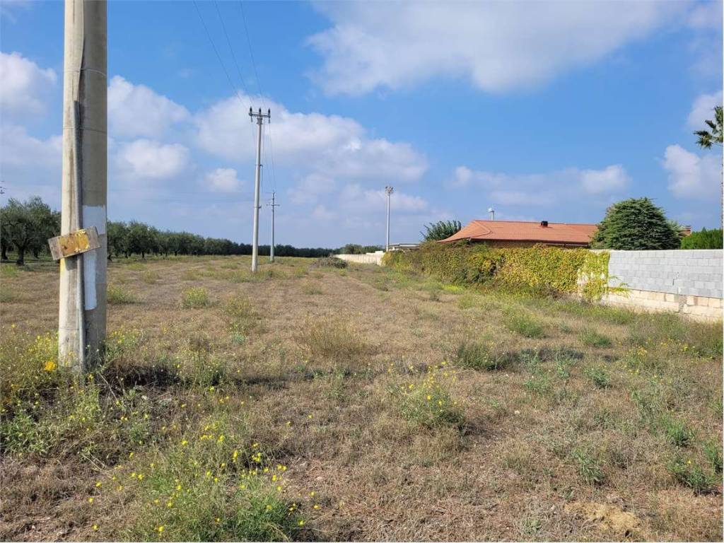 Terreno a Cerignola in S.P. 143 - Foto 2