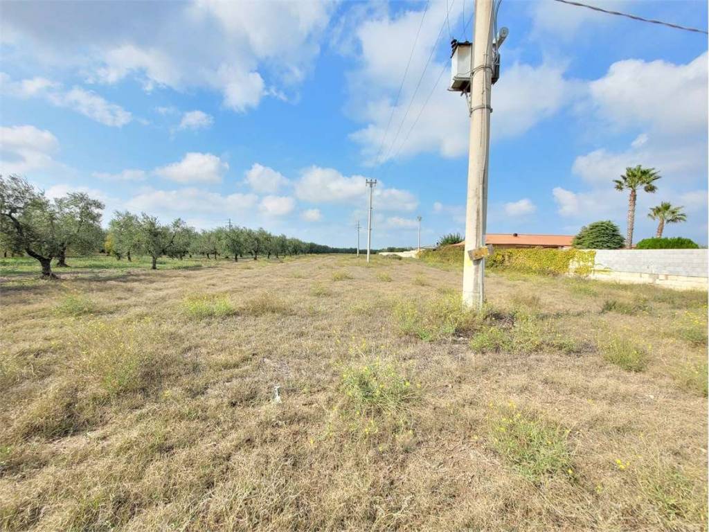Terreno a Cerignola in S.P. 143 - Foto 4