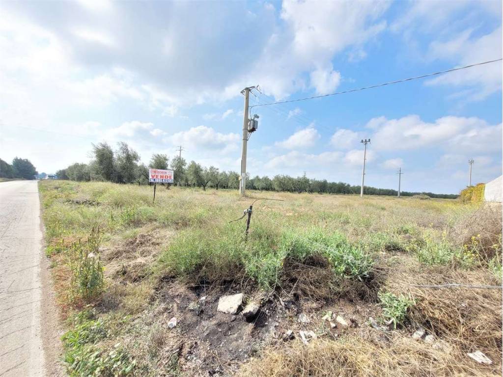 Terreno a Cerignola in S.P. 143 - Foto 5