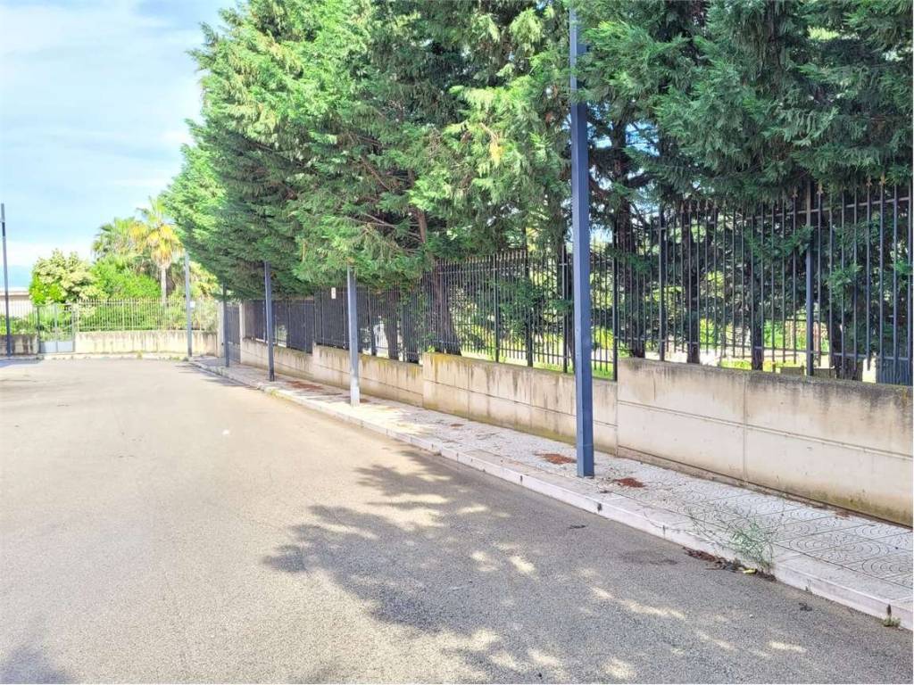 Terreno a Cerignola in VIA CAMOGLI - Foto 4