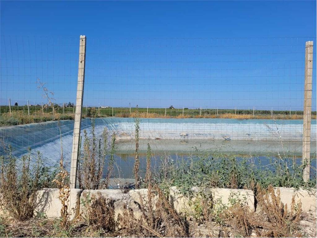 Terreno a Cerignola in S.P. 69 - Foto 5