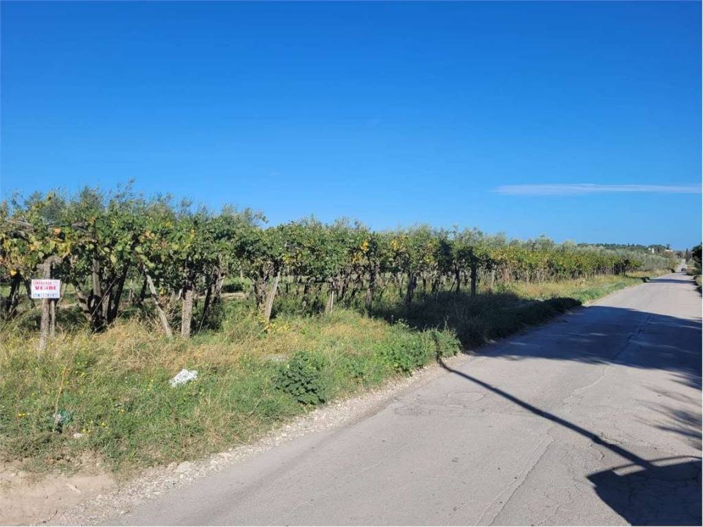 Terreno a Cerignola in VIA CONTRADA QUARTO - Foto 5