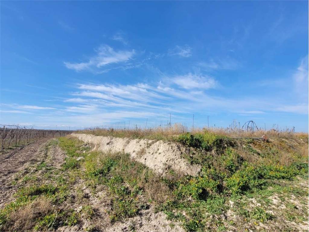 Terreno a Cerignola in CONTRADA POSTA CRUSTA - Foto 4