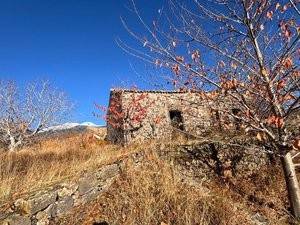 Rustico / casale a Biancavilla in Bosco Allegra - Foto 4
