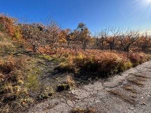 Rustico / casale a Biancavilla in Bosco Allegra - Foto 5