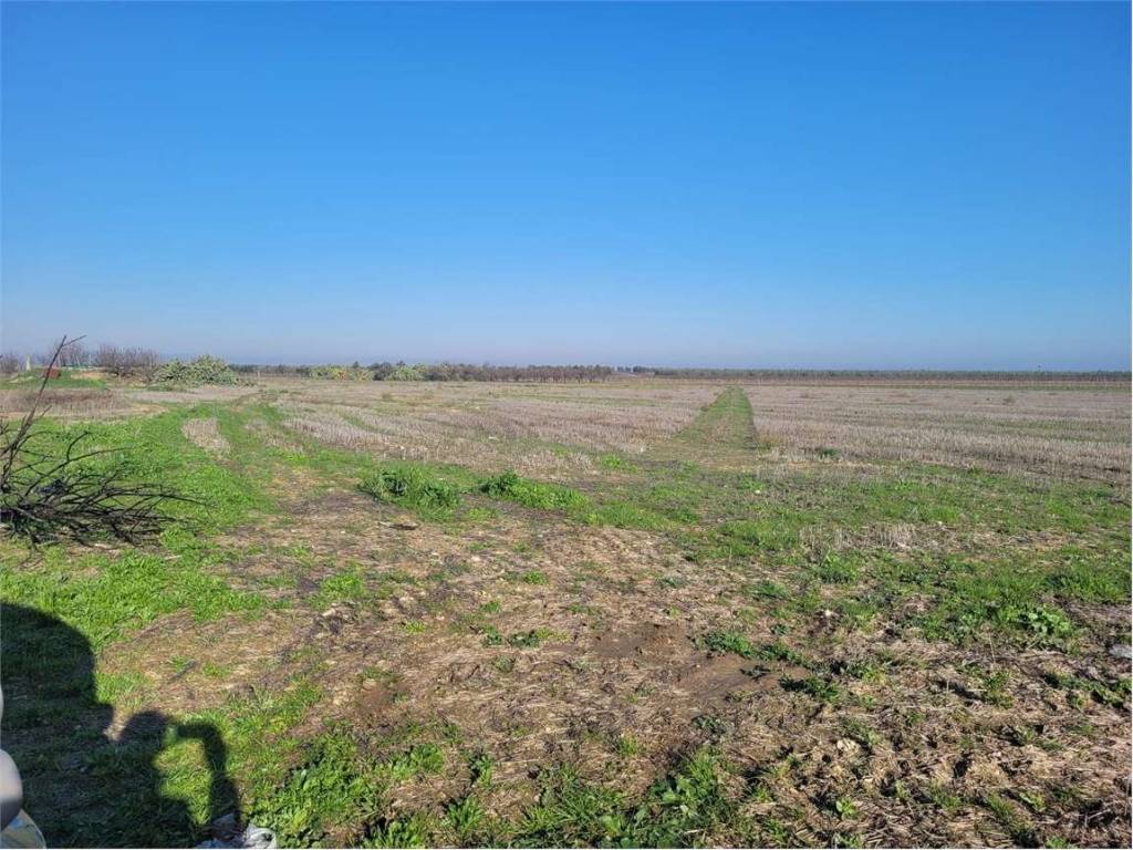 Terreno a Cerignola in STRADA STATALE 544 - Foto 4
