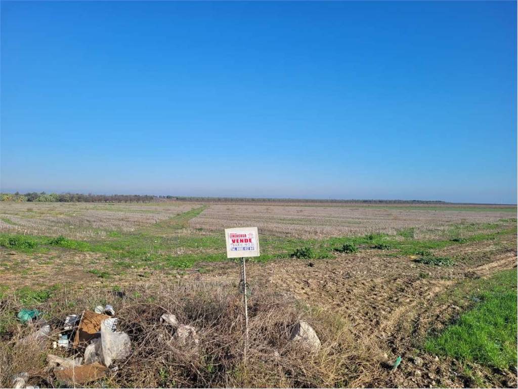 Terreno a Cerignola in STRADA STATALE 544 - Foto 5