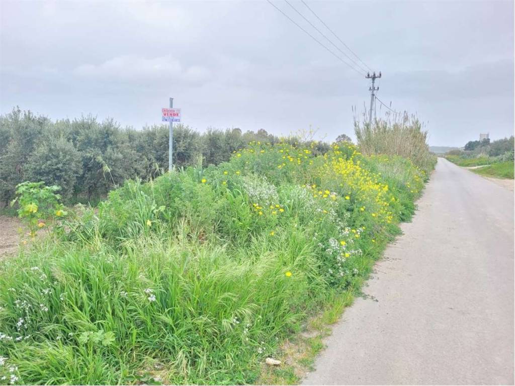 Terreno a Cerignola in STRADA VICINALE CORSO VECCHIO - Foto 2