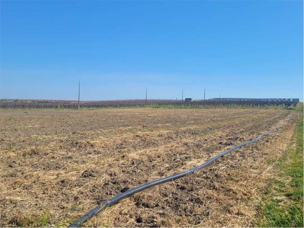 Terreno a Cerignola in VIA SAN SEVERO - Foto 4