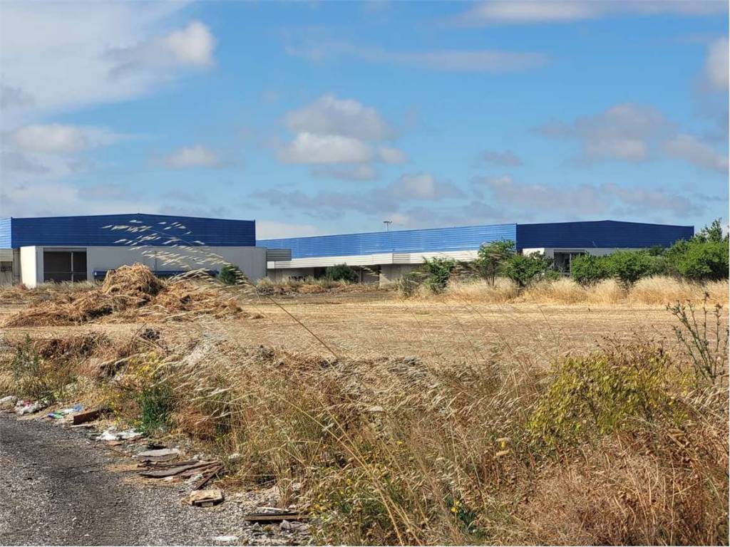 Terreno a Cerignola in VIA ALCIDE DE GASPERI - Foto 5