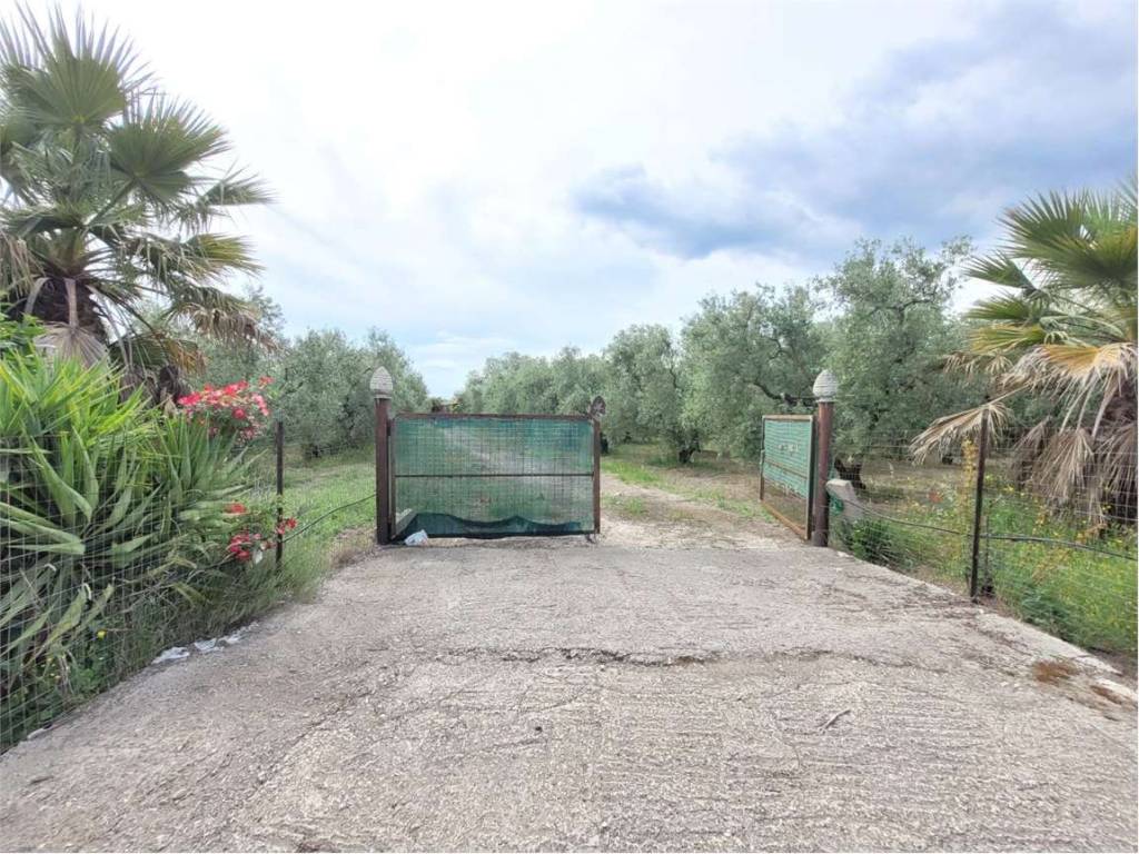Villa a Cerignola in STRADA PROVINCIALE 96 - Foto 2