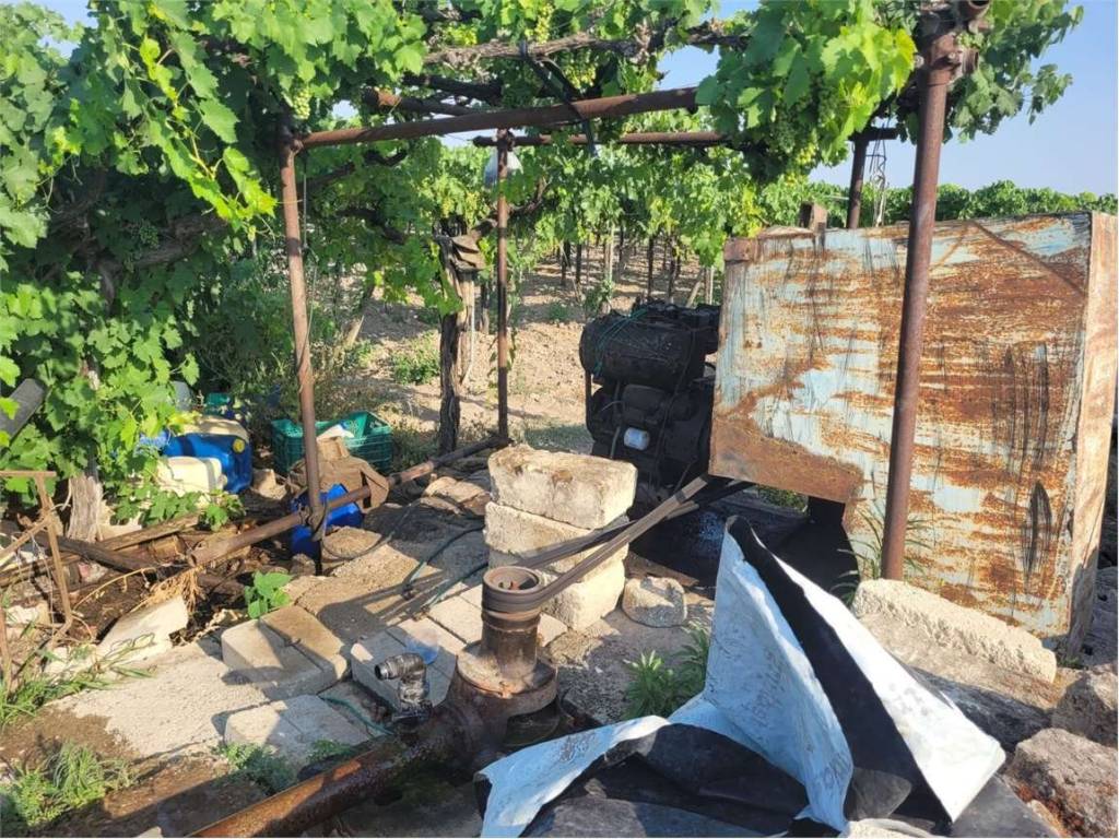 Terreno a Cerignola in STRADA STATALE 544 - Foto 5