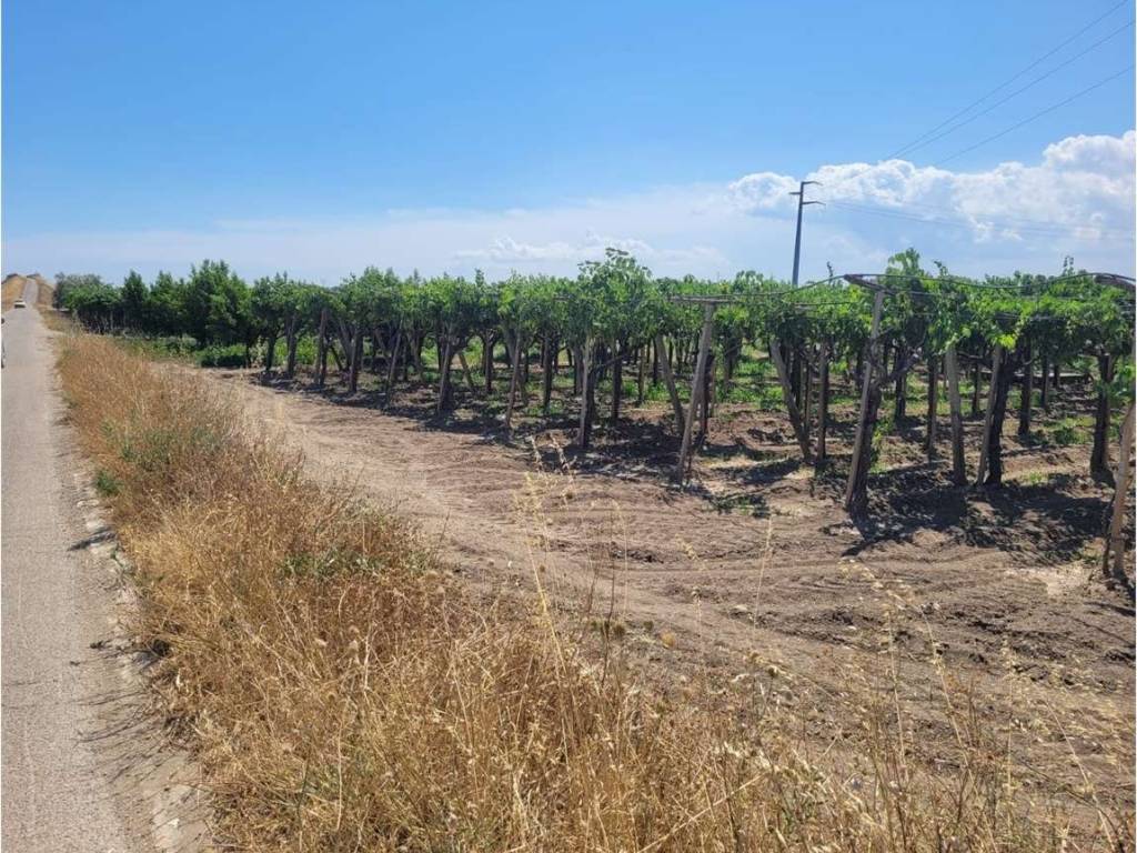 Terreno a Cerignola in STRADA COMUNALE VECCHIA BARLETTA - Foto 2