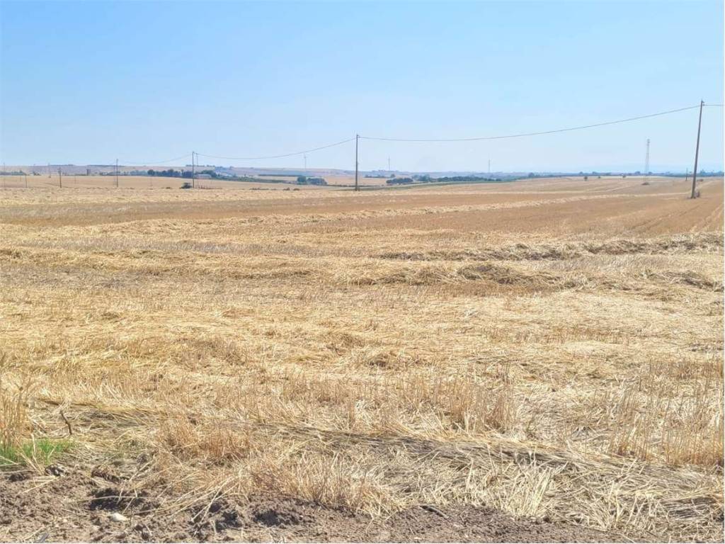 Terreno a Ascoli satriano in LOCALITA' SAN CARLO D'ASCOLI - Foto 2
