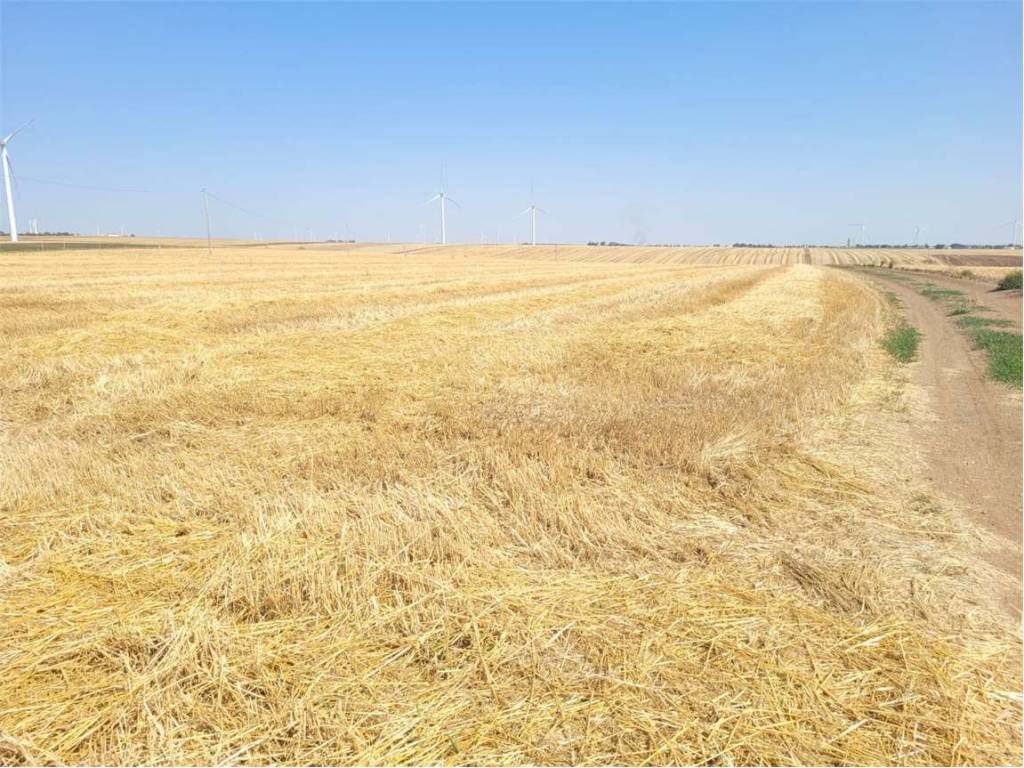 Terreno a Ascoli satriano in LOCALITA' SAN CARLO D'ASCOLI - Foto 4