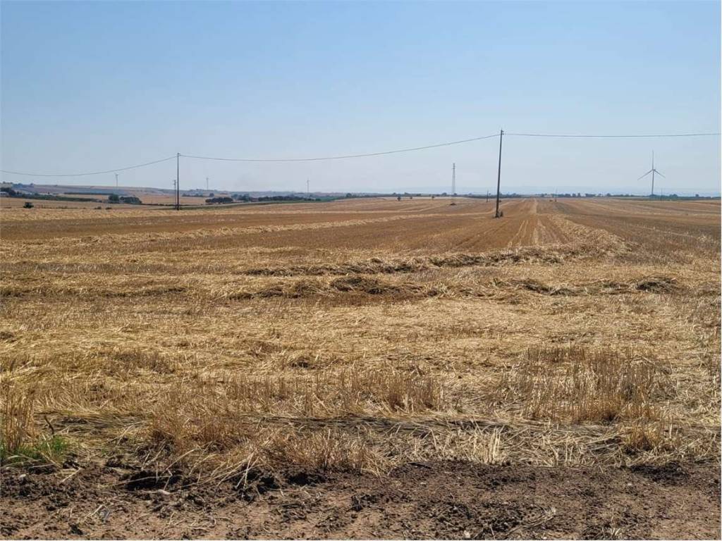 Terreno a Ascoli satriano in LOCALITA' SAN CARLO D'ASCOLI - Foto 5