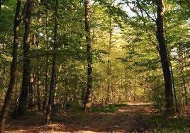 Terreno a Cermenate in via giuseppe negrini - Foto 4
